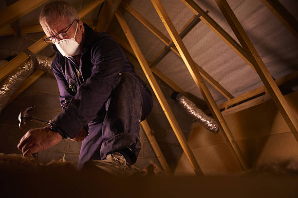 Best Insulation for Specific Applications in Muskegon Heights, MI